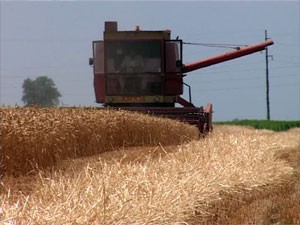 Agro-savetodavci počinju sa radom