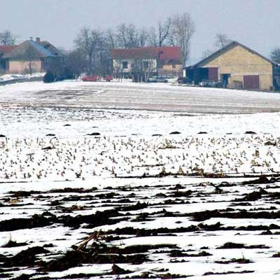 Sve se zna sem kad će biti novca