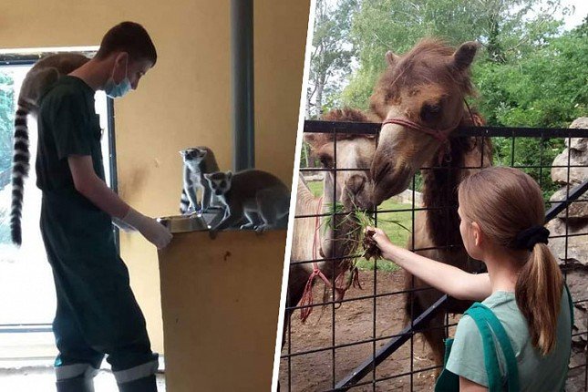 Budući veterinarski tehničari - od kabineta do terena