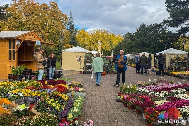 Izložba i vašar cveća donosi bogatu ponudu jesenjeg cveća i ukrasnog bilja