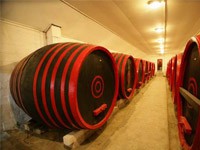 Bankrotirao "Podrum Palić"