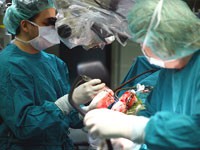 Ilegalna transplatacija organa