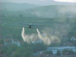 Prskanje komaraca prvog povoljnog dana avgusta