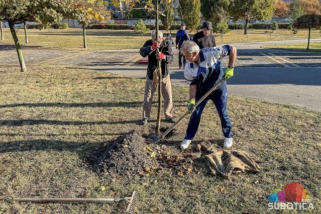 „Subotički hrast“ obeležio pet godina rada sadnjom drveća i zelenila na Prozivci