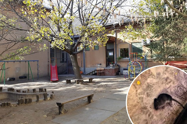 U subotičkom vrtiću pojavili se miševi, nadležni preduzimaju prigodne mere