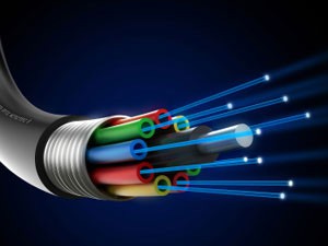 Optička mreža na Prozivci