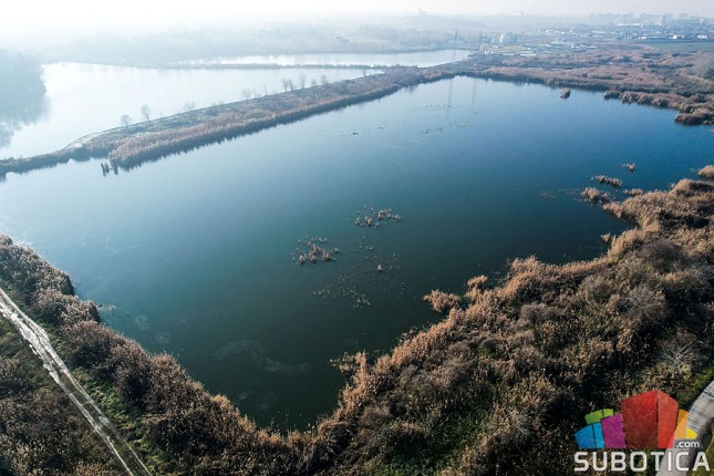 Palićko jezero uspešno očišćeno od vodene salate