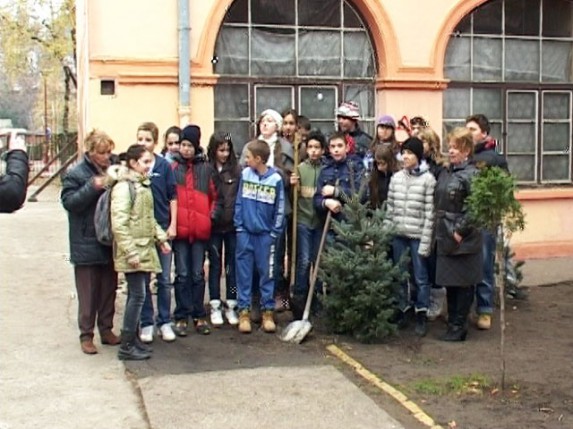Učenici zasadili "Majino drvo" u znak sećanja na preminulu učiteljicu