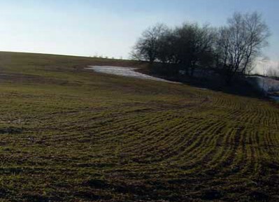 Licitacija zemlje – posle setve?!