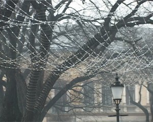 Počelo ukrašavanje grada