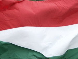 Podneto 160.000 zahteva za mađarsko državljanstvo