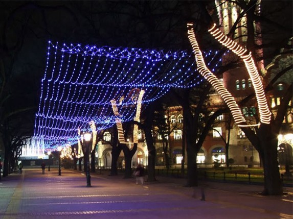 Oko 2.000 gostiju u Subotici i na Paliću tokom novogodišnjih praznika