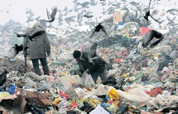 Dobitak sa đubrišta