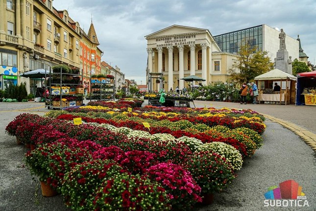 Sajam cveća - centralni Trg procvetao