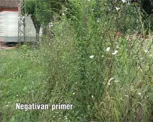 Da se zna ko kosi, a ko ne kosi