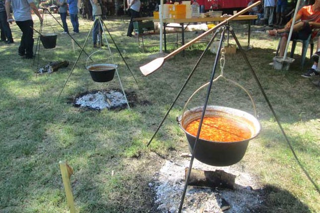 Takmičenje u kuvanju riblje čorbe u subotu na Paliću