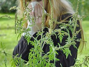 Akcija "Da se zna ko kosi, a ko ne kosi"