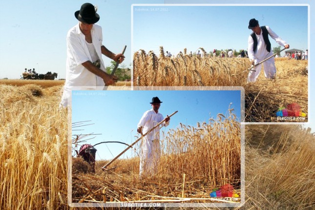 U subotu se održava Takmičenje risara