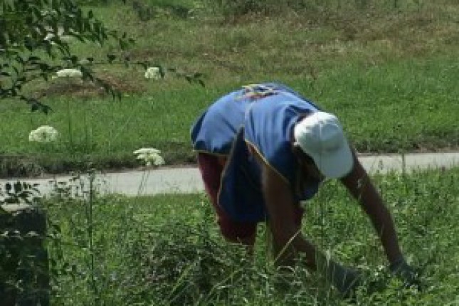 Da se zna ko kosi, a ko ne kosi