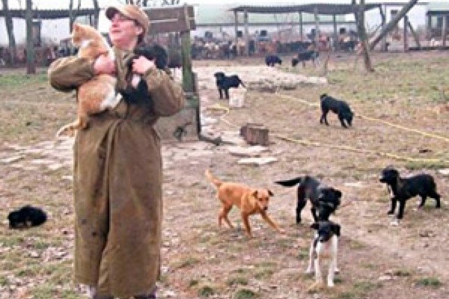 Opština obećala brigu o 350 pasa i mačaka