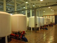 Lažni inkasanti u Subotici