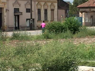 Da se zna ko kosi, a ko ne kosi