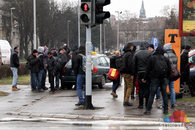 U Suboticu masovno pristižu Albanci sa Kosova