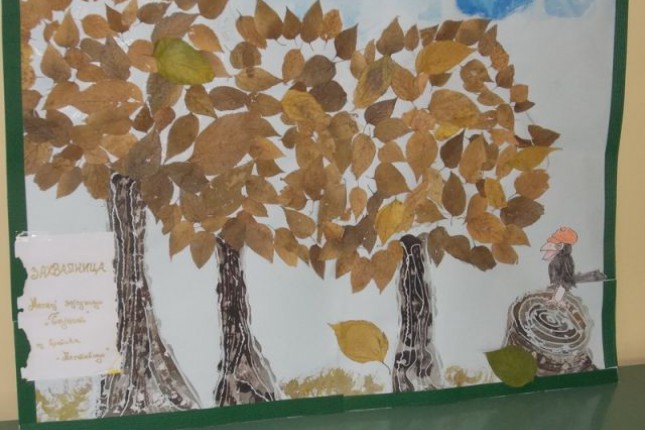 Predavanje: Selekcija otpada u domaćinstvu (MZ "Bajnat")