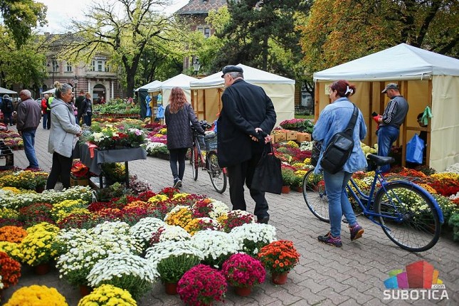 Centar grada u znaku jesenjeg cveća