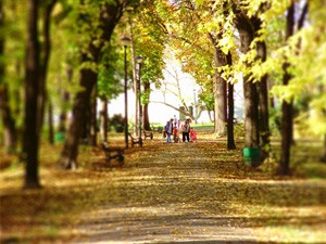 Novo rukovodstvo u MZ Dudova šuma