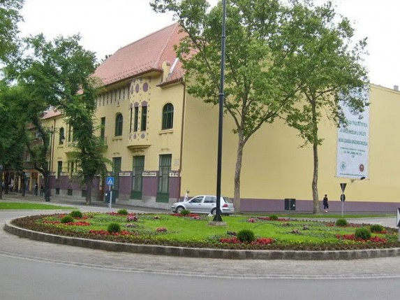 Letnji programi u Gradskom muzeju i Likovnom susretu