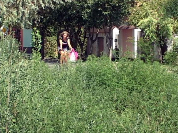 Umerene koncentracije polena trave i koprive u vazduhu