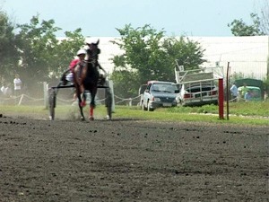 Evropski kas na subotičkom hipodromu