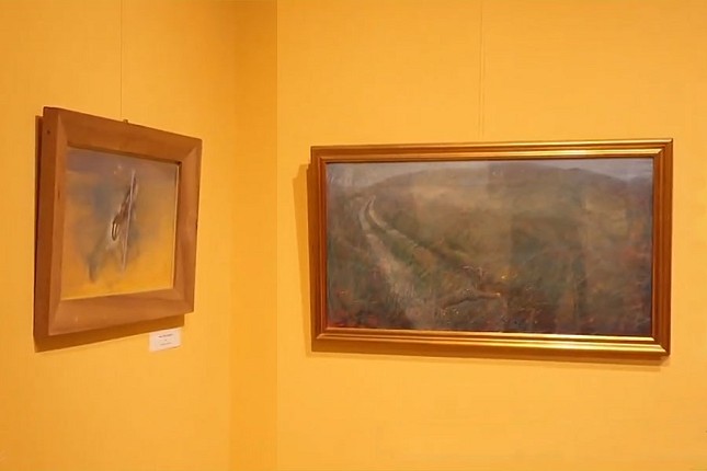 Retrospektiva 60 radova Ištvana Sajka izložena u muzeju do sredine decembra