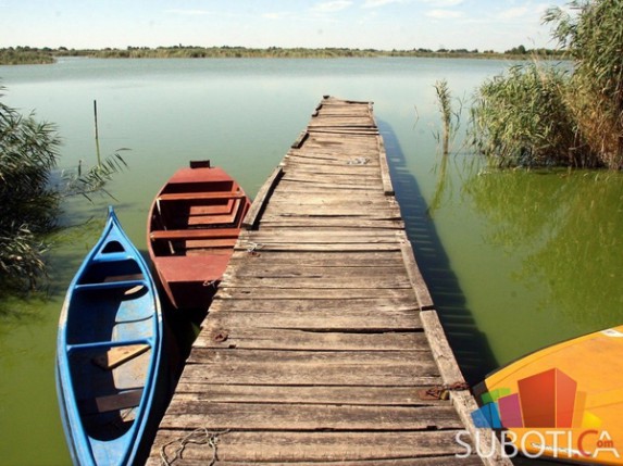 U toku je Ekološki kamp na Ludašu