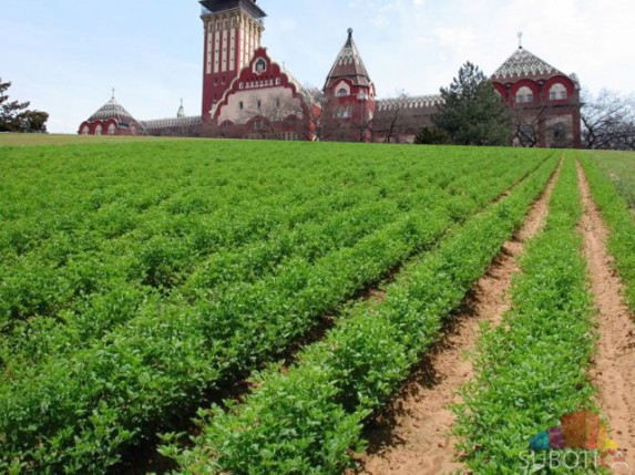 Otvara se Kancelarija za poljoprivredno zemljište unutar Gradske uprave