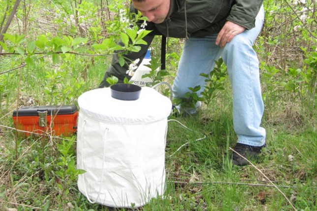 Ovih dana novo prebrojavanje komaraca