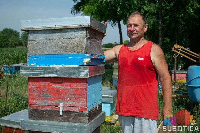 Pčelar iz Višnjevca: Pčelarstvo je "sinonim" za ljubav, a ne za novac!