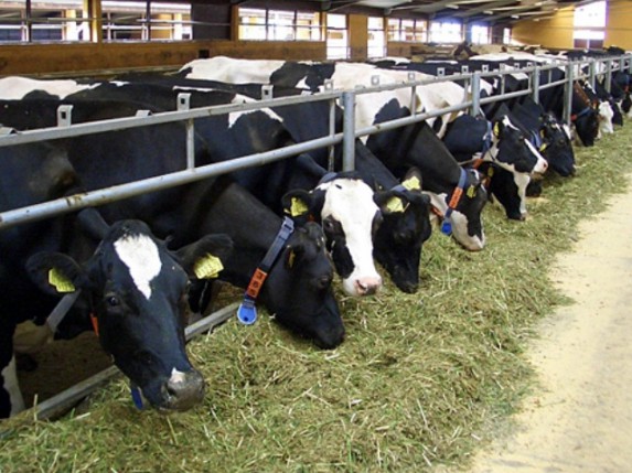 Krediti Fonda za razvoj poljoprivrede