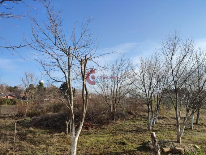 Plac, Palić, 2.19a (ID: 117001) | Nekretnine Subotica