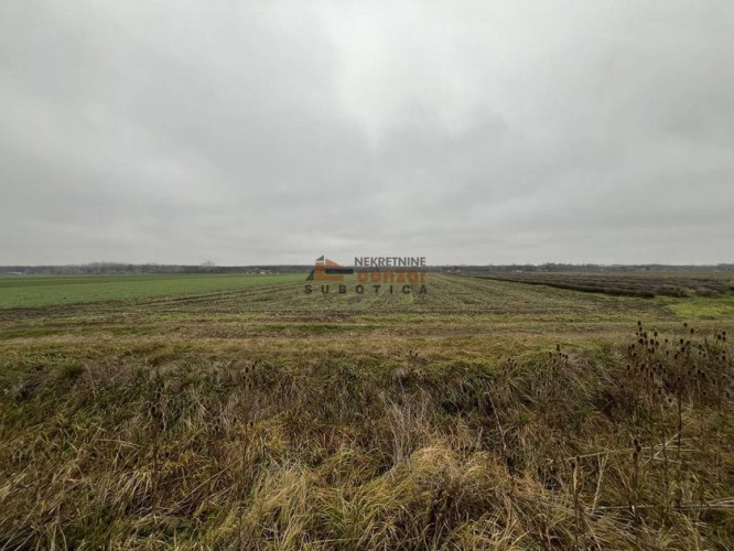 Plac, Radanovac, 146.39a (ID: 115002) | Nekretnine Subotica