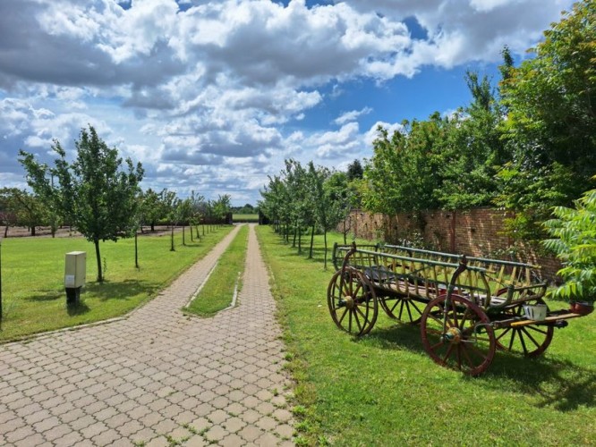 Kuća, Palić, 543m2 (ID: 113031) | Nekretnine Subotica