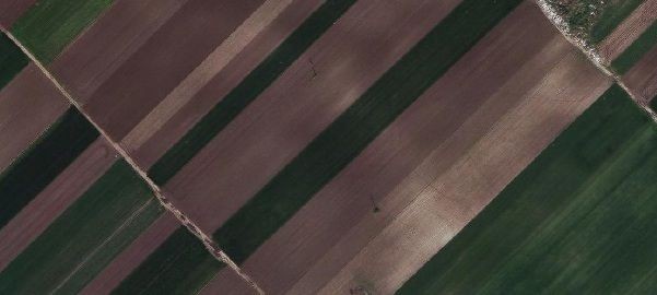 Plac, Mali Radanovac, 318.58a (ID: 112046) | Nekretnine Subotica