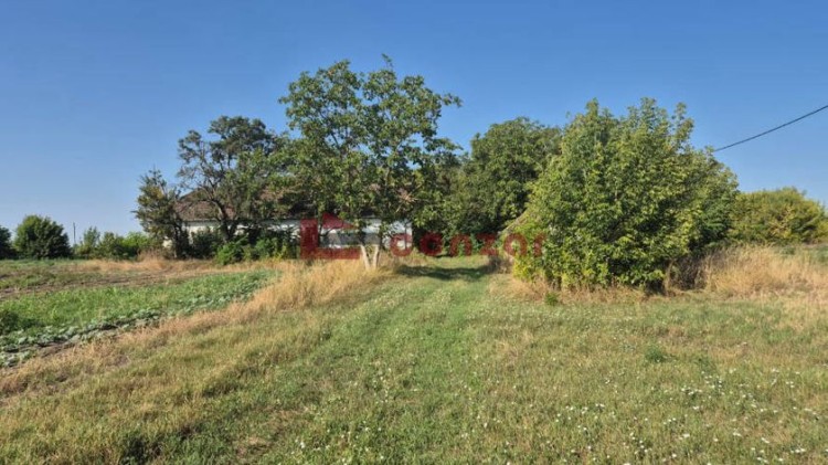 Kuća, Bački Vinogradi, 244m2 (ID: 104049) | Nekretnine Subotica