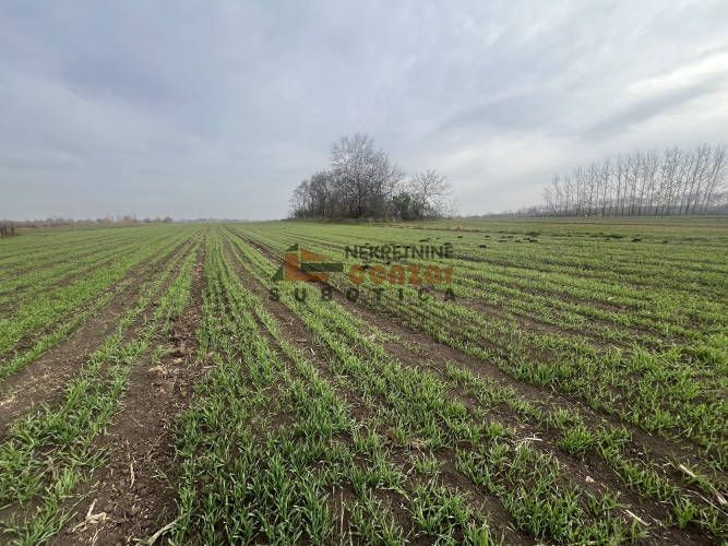 Plac, Hajdukovo, 82.82a (ID: 115055) | Nekretnine Subotica