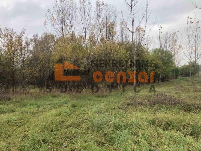 Plac, Hajdukovo, 38.17a (ID: 105069) | Nekretnine Subotica