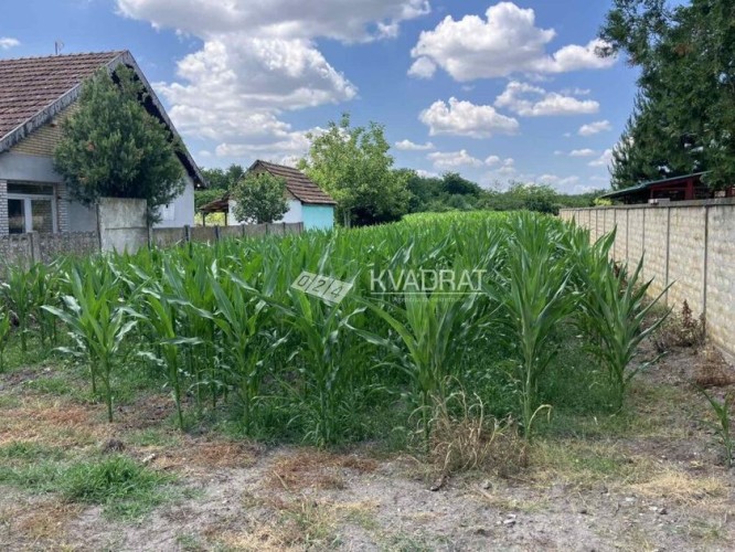 Plac, Makova Sedmica, 2649a (ID: 112075) | Nekretnine Subotica