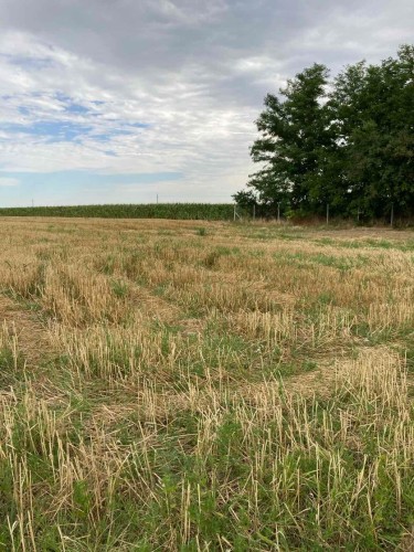 Plac, Palić, 96.14a (ID: 101084) | Nekretnine Subotica