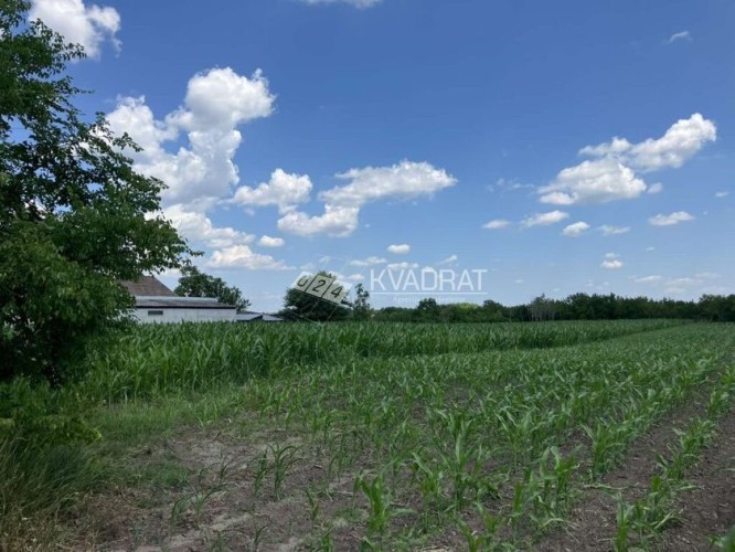 Plac, Makova Sedmica, 2269a (ID: 101100) | Nekretnine Subotica