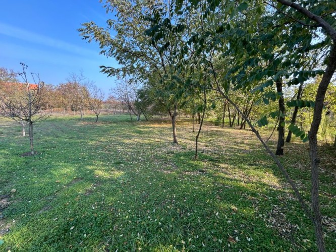 Plac, Makova Sedmica, 10a (ID: 117112) | Nekretnine Subotica